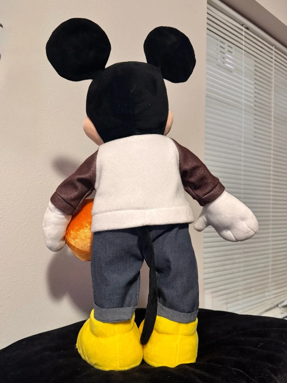 N/A disney fall